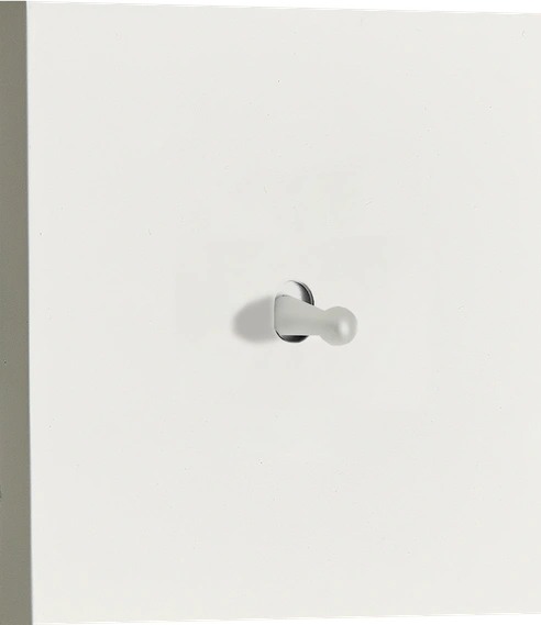 Image detail